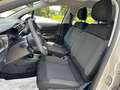 Citroen C3 PureTech 83 S&S Shine GPL Beige - thumbnail 12