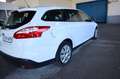 Ford Focus 1.6TDCi Edition 115 Blanco - thumbnail 5