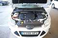 Ford Focus 1.6TDCi Edition 115 Blanco - thumbnail 16
