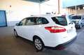 Ford Focus 1.6TDCi Edition 115 Blanco - thumbnail 7