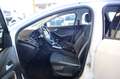Ford Focus 1.6TDCi Edition 115 Blanco - thumbnail 27