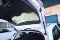 Ford Focus 1.6TDCi Edition 115 Blanco - thumbnail 12