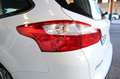 Ford Focus 1.6TDCi Edition 115 Blanco - thumbnail 13
