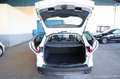 Ford Focus 1.6TDCi Edition 115 Blanco - thumbnail 10