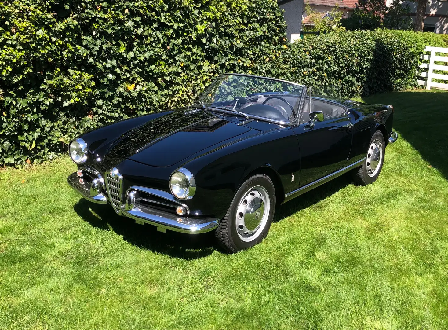 Alfa Romeo Giulietta Spider 1600 95 PS Schwarz - 2