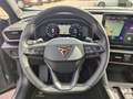 CUPRA Formentor 1.5 TSI DSG Grau - thumbnail 12