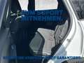 Ford Kuga Titanium Head-Up DAB LED RFK Parkassistent Bianco - thumbnail 9
