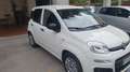 Fiat Panda Panda 1.3 mjt 16v Easy s Weiß - thumbnail 5