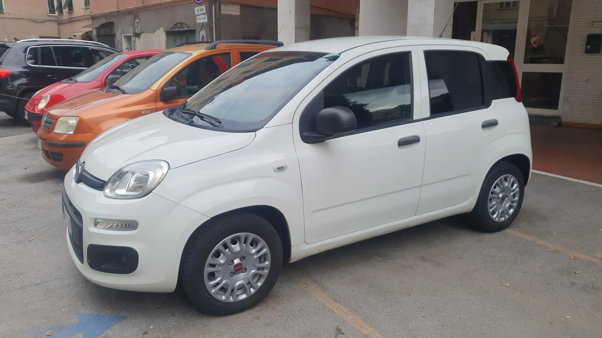 Fiat Panda Panda 1.3 mjt 16v Easy s Weiß - 2