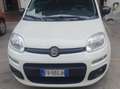 Fiat Panda Panda 1.3 mjt 16v Easy s Weiß - thumbnail 1