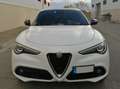 Alfa Romeo Stelvio 2.2 Executive Q4 210 Aut. Blanco - thumbnail 1