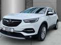 Opel Grandland X INNOVATION AT Navi Kamera Bi-LED PPS Klimaautomati Blanc - thumbnail 4