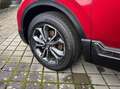 Honda CR-V 2.0 Hybrid Lifestyle NEUWAGEN, Allrad, Leder Rot - thumbnail 3