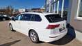 Volkswagen Golf Variant TDI ''1.Besitz'' ''Top Ausstattung'' Weiß - thumbnail 8