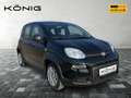Fiat Panda MY24 1.0 Klima PDC Citypaket Schwarz - thumbnail 2