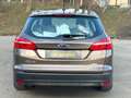 Ford Focus Traveller Trend Aut. Motor neu 700km gefahren! Beige - thumbnail 8