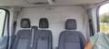 Ford Transit Transit FT 290K 2.2 TDCi 125PS Weiß - thumbnail 5