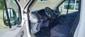 Ford Transit Transit FT 290K 2.2 TDCi 125PS Weiß - thumbnail 2