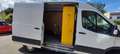 Ford Transit Transit FT 290K 2.2 TDCi 125PS Weiß - thumbnail 12
