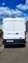 Ford Transit Transit FT 290K 2.2 TDCi 125PS Weiß - thumbnail 8