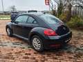 Volkswagen Beetle Beetle 1,2 TSI Schwarz - thumbnail 6