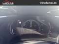 Lexus NX 350h 243 PS Executive Interieur Paket + Technologie Pak Negru - thumbnail 10