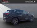 Lexus NX 350h 243 PS Executive Interieur Paket + Technologie Pak Negru - thumbnail 5