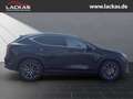 Lexus NX 350h 243 PS Executive Interieur Paket + Technologie Pak Negru - thumbnail 6