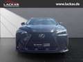 Lexus NX 350h 243 PS Executive Interieur Paket + Technologie Pak Negru - thumbnail 8