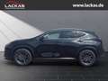 Lexus NX 350h 243 PS Executive Interieur Paket + Technologie Pak Negru - thumbnail 2