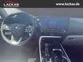Lexus NX 350h 243 PS Executive Interieur Paket + Technologie Pak Negru - thumbnail 11