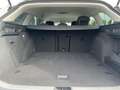 Skoda Superb Combi 1.5TSI DSG Selection NAVI LED KAMER Blanc - thumbnail 6