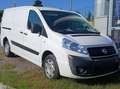 Fiat Scudo Fiat scudo maximum diesel Blanc - thumbnail 1
