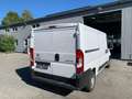 Citroen Jumper Jumper Bus 30 L1H1 BlueHDi 140 S Weiß - thumbnail 3