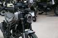 Benelli Leoncino 125, sofort lieferbar Grey - thumbnail 6