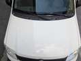 Fiat Panda Weiß - thumbnail 6
