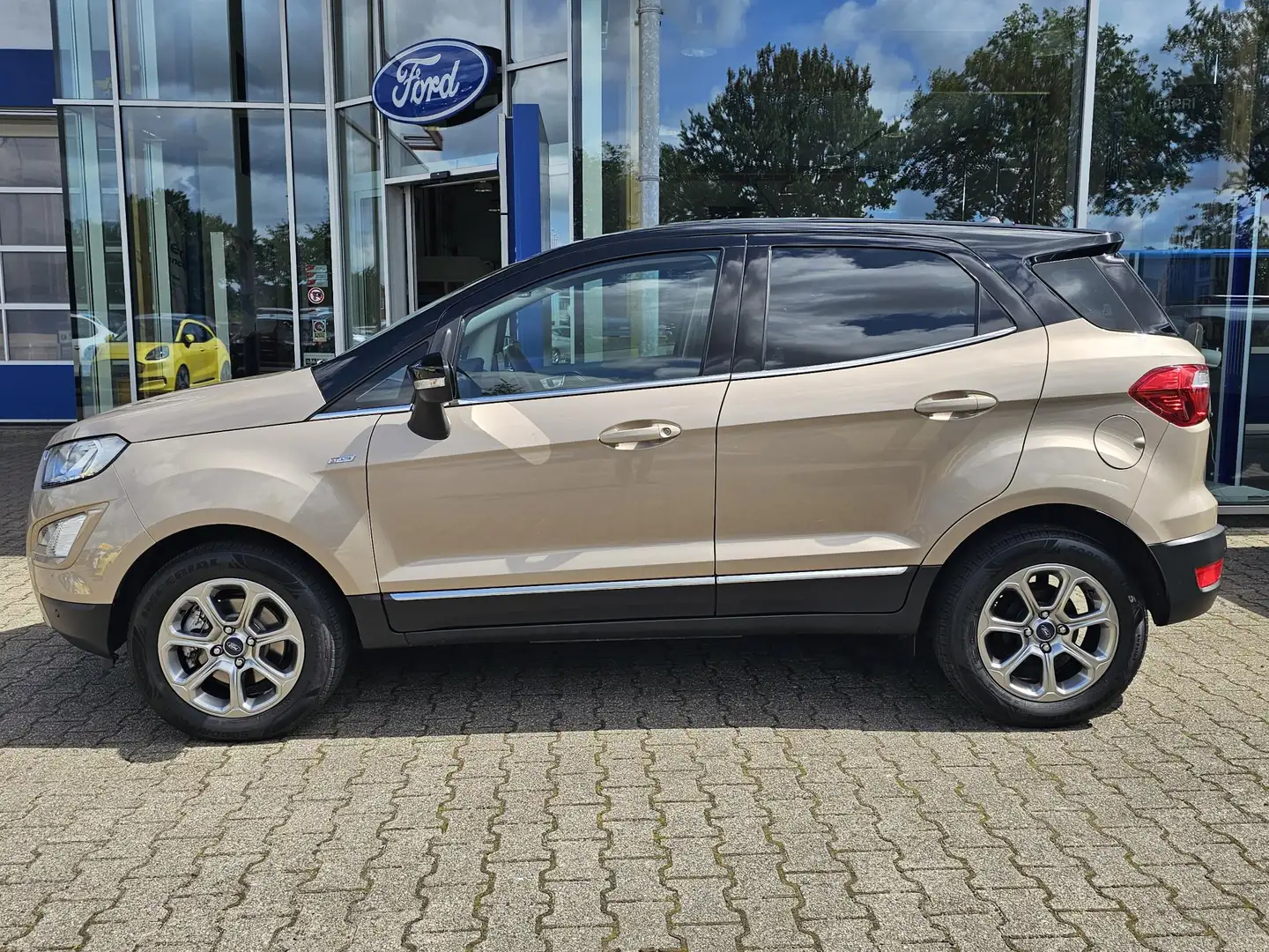 Ford EcoSport 1.0 EcoBoost Titanium Bruin - 2