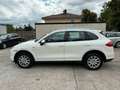 Porsche Cayenne S Hybrid Schiebedach*TOP*TUV NEU* Weiß - thumbnail 4
