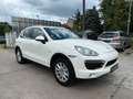 Porsche Cayenne S Hybrid Schiebedach*TOP*TUV NEU* Weiß - thumbnail 3