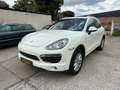 Porsche Cayenne S Hybrid Schiebedach*TOP*TUV NEU* Weiß - thumbnail 1