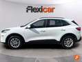 Ford Kuga 2.5 Duratec FHEV ST-Line 4x2 Aut. Blanco - thumbnail 8