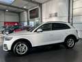 Audi Q5 50 TFSI e quattro Automatik *ACC*Navi*Kamera* Weiß - thumbnail 3