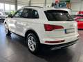 Audi Q5 50 TFSI e quattro Automatik *ACC*Navi*Kamera* Weiß - thumbnail 2