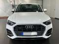 Audi Q5 50 TFSI e quattro Automatik *ACC*Navi*Kamera* Weiß - thumbnail 4