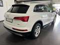 Audi Q5 50 TFSI e quattro Automatik *ACC*Navi*Kamera* Weiß - thumbnail 7