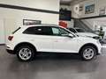Audi Q5 50 TFSI e quattro Automatik *ACC*Navi*Kamera* Weiß - thumbnail 6