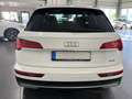 Audi Q5 50 TFSI e quattro Automatik *ACC*Navi*Kamera* Weiß - thumbnail 8