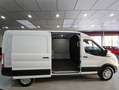 Ford Transit 2.0 ECOBLUE 350 130CV L3 H2 TREND Blanco - thumbnail 5