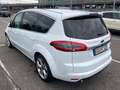 Ford S-Max S-Max 2.0 TDCi DPF Automatik Titanium mit AHK Weiß - thumbnail 5