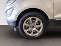 Ford EcoSport Titanium Grigio - thumbnail 15